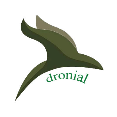 dronial