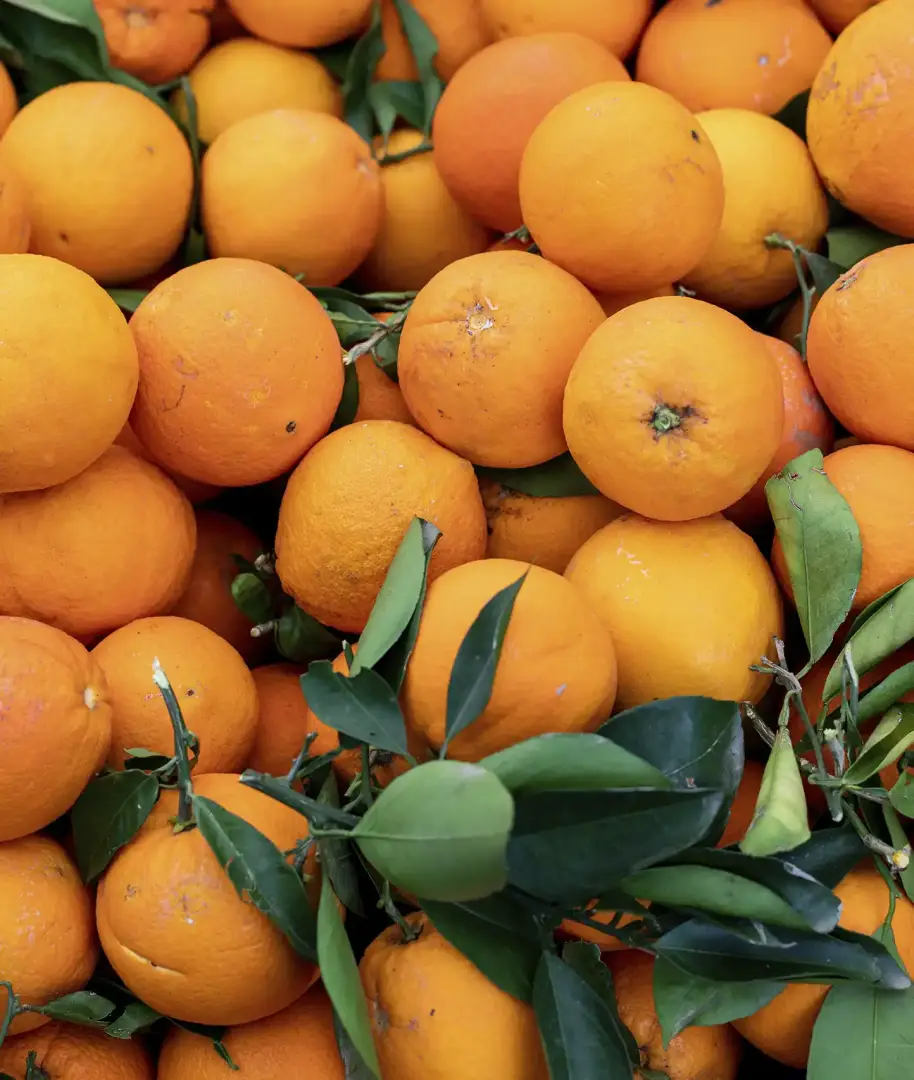 Innovación aplicada al sector alimentario