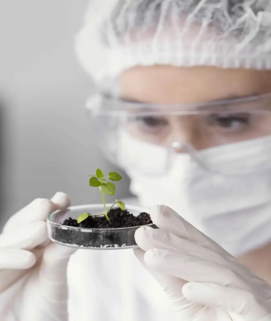 Proyectos de investigación y desarrollo